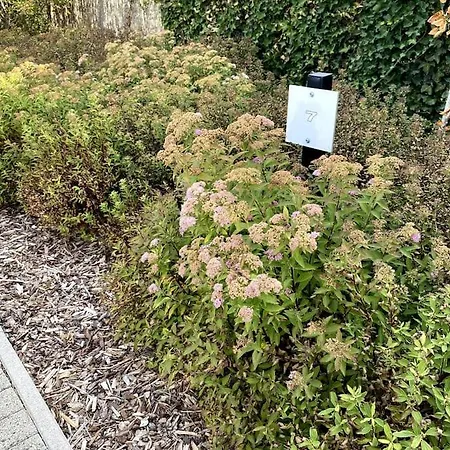 Dg7 - Gezellig Huisje Voor 6 Personen Met Tuin, Parking En 3 Fietsen